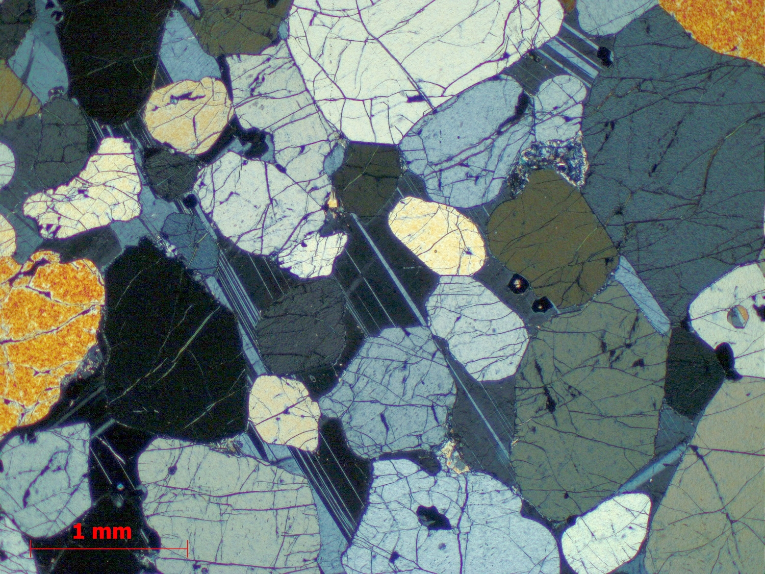 Péridotite à plagioclase Cumulât d’olivine et de plagioclase  du Complexe intrusif de Rum Province magmatique des Hébrides Rùm  